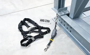 Safety harness and lanyard